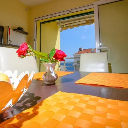 Miki トロギール